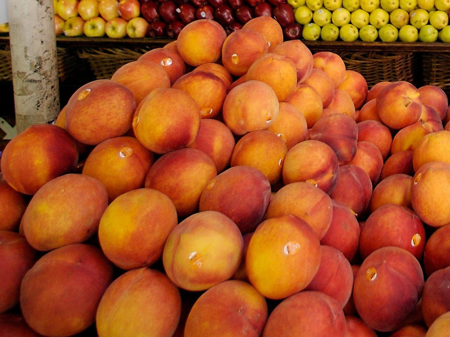 Nectarines  Trader Joe's