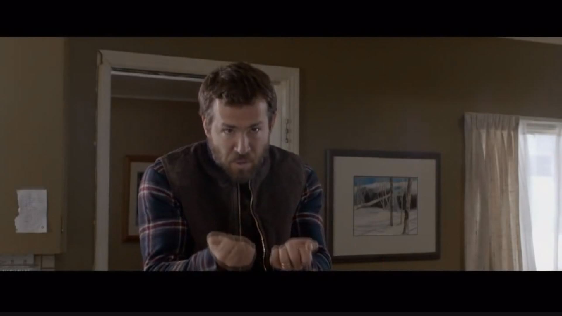 DVD-THE CAPTIVE *Ryan Reynolds*