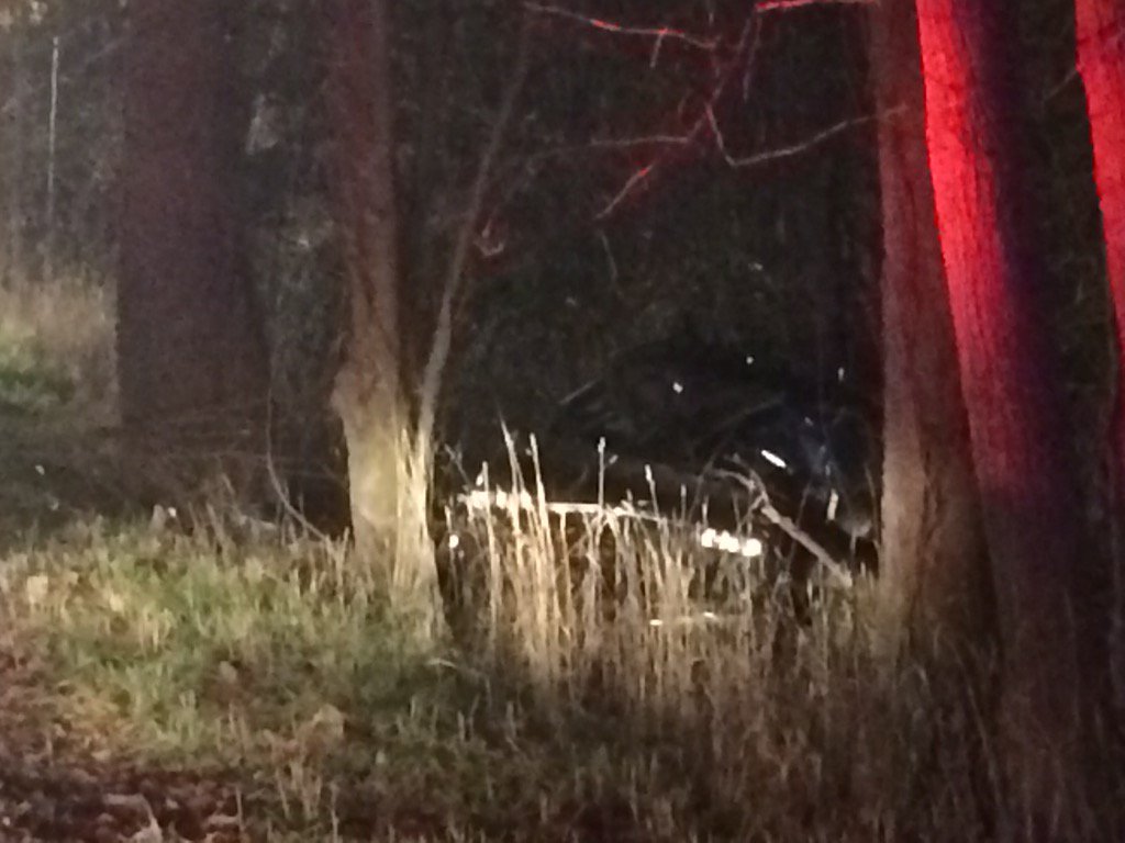 Driver, 14, pleads not guilty in fatal Ravenna crash