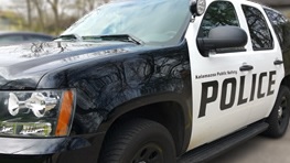 Kalamazoo man upset with girlfriend smashes window of police car