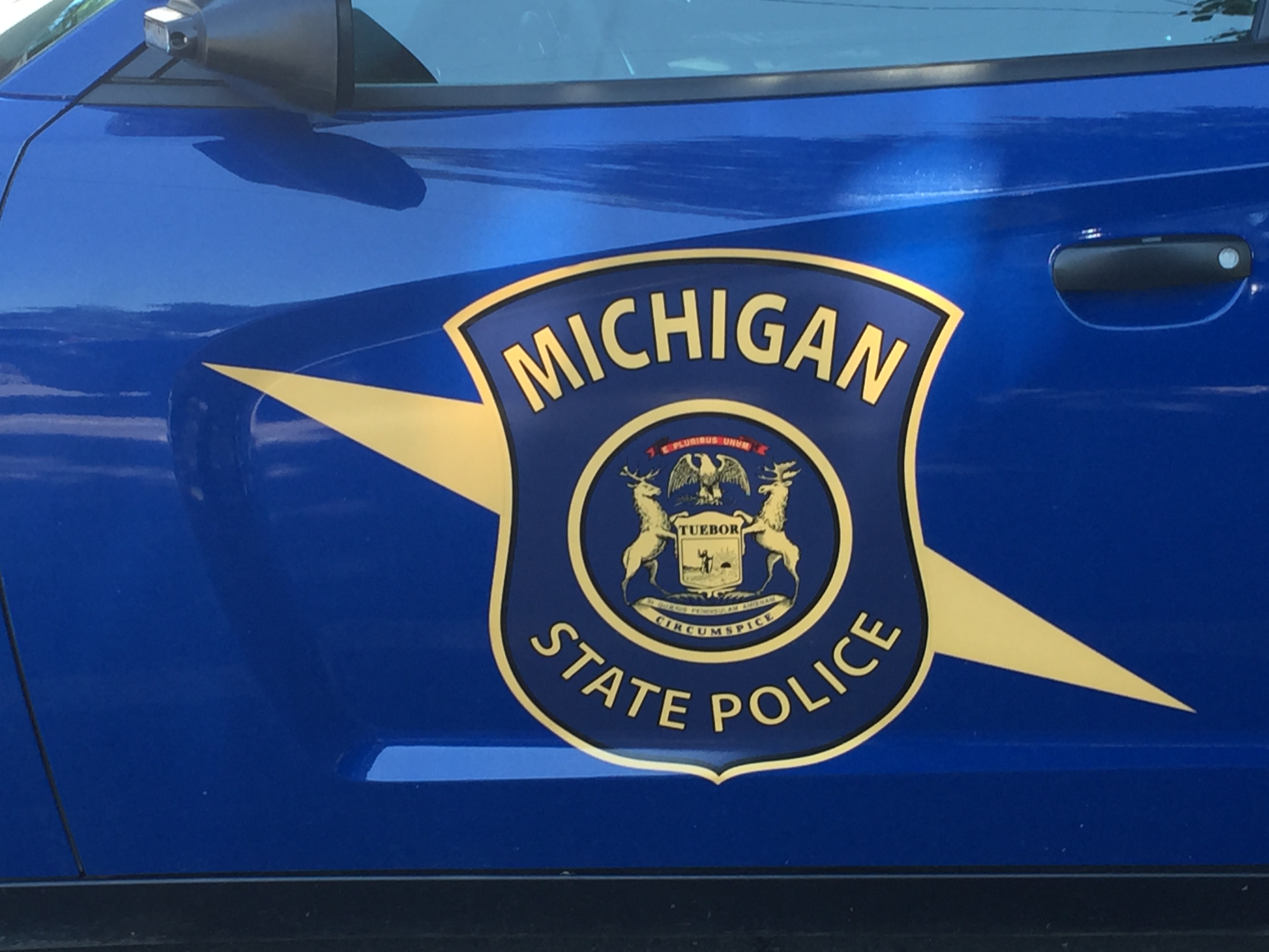 [Letter3 5] Wzzm13 News Terms Of Use - f8183rz