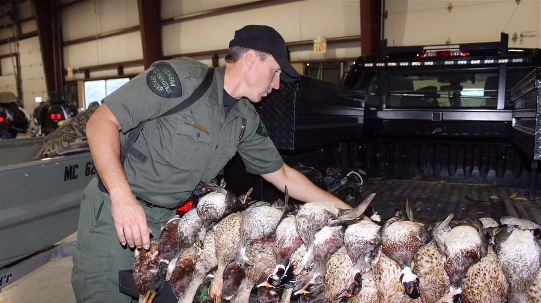 Additional ducks counted in largest poaching case in 25 years