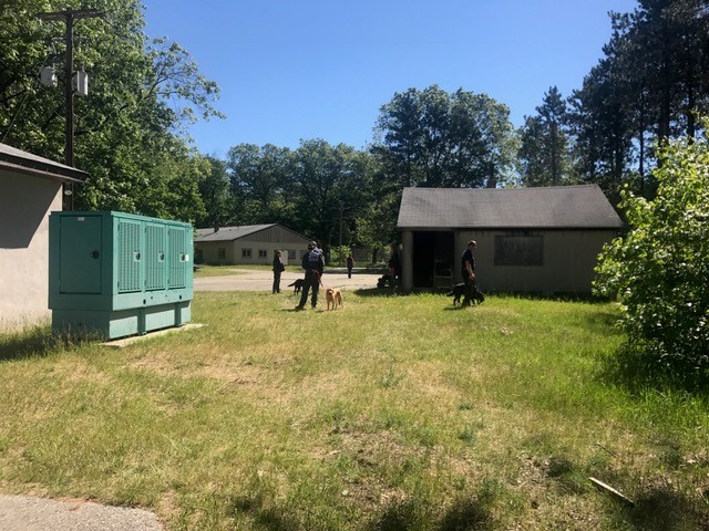 Michigan Dog Training Schools Michigan Dog Training Schools