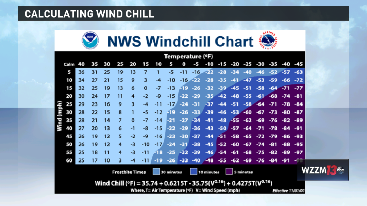 Prepare yourself & pets for cold, wind chill | wzzm13.com